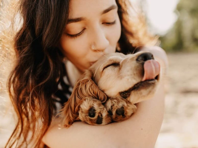 ¿A los perros les gustan los besos?